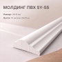 Молдинг SY 55 NEW