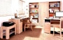 Мебель с кромкой пвх 1,8*19 мм BR606 - пример использования. Цвет сосна ида.